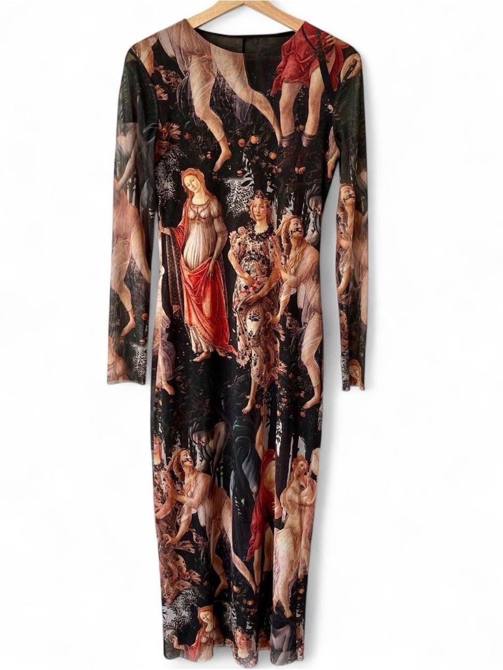 Zara Botticelli Print Tulle Dress Art Print Mesh Midi Sheer Renaissance size S/M